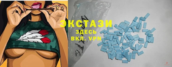 мдпв Новозыбков