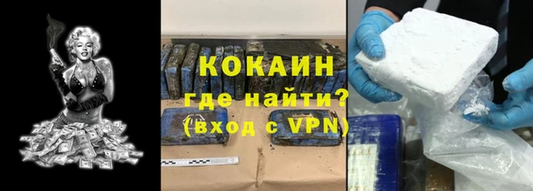 бошки Новодвинск