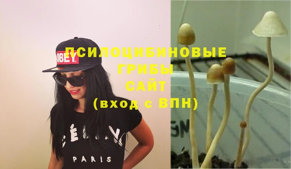 прущий лед Нязепетровск