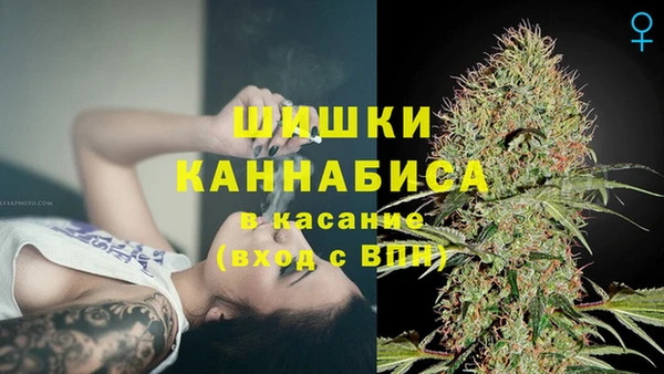 мдпв Новозыбков