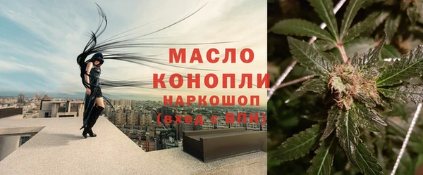 мдпв Новозыбков