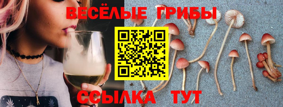 Псилоцибиновые грибы MAGIC MUSHROOMS  Россошь  Псилоцибиновые грибы Psilocybe 