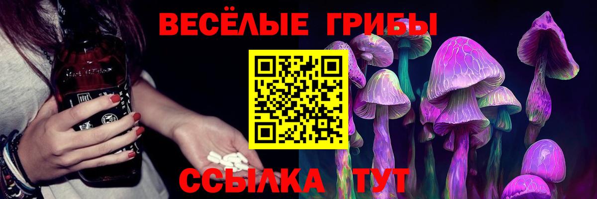 Галлюциногенные грибы Psilocybe  купить наркотики сайты  Россошь  Вход с VPN 