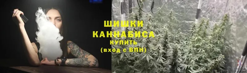 Марихуана Amnesia  Россошь 